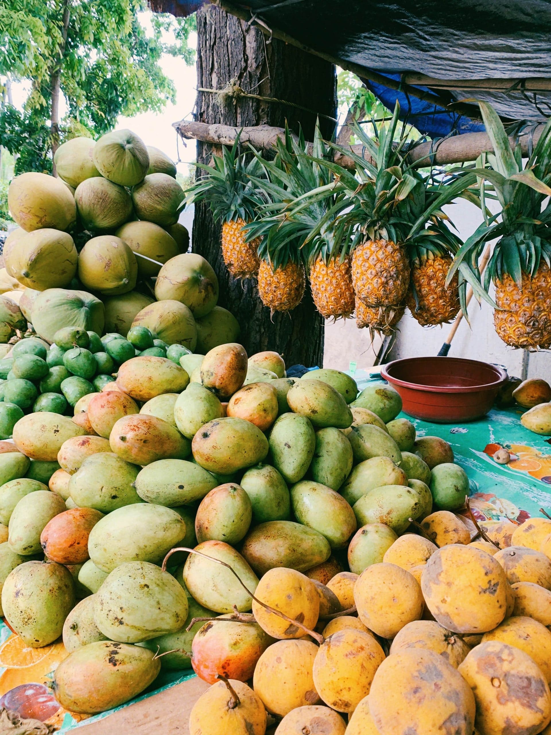 ananas-commerce-equitable